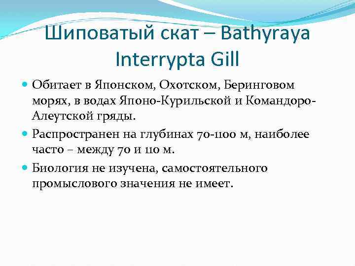 Шиповатый скат – Bathyraya Interrypta Gill Обитает в Японском, Охотском, Беринговом морях, в водах