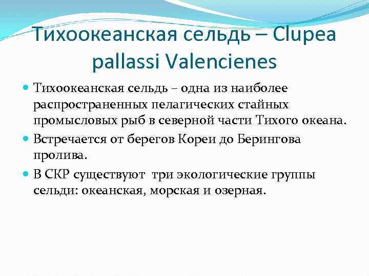 Тихоокеанская сельдь – Clupea pallassi Valencienes Тихоокеанская сельдь – одна из наиболее распространенных пелагических