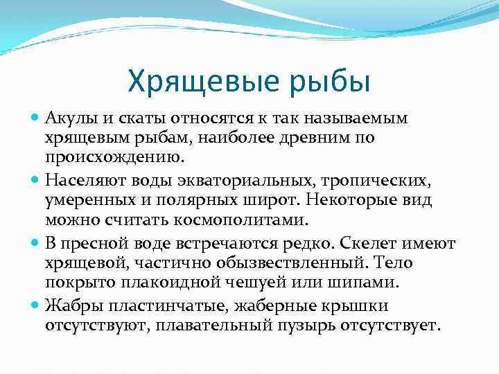 Хрящевые рыбы Акулы и скаты относятся к так называемым хрящевым рыбам, наиболее древним по