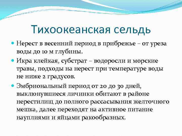 Тихоокеанская сельдь Нерест в весенний период в прибрежье – от уреза воды до 10