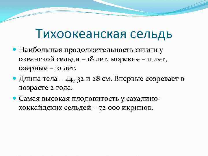 Тихоокеанская сельдь Наибольшая продолжительность жизни у океанской сельди – 18 лет, морские – 11