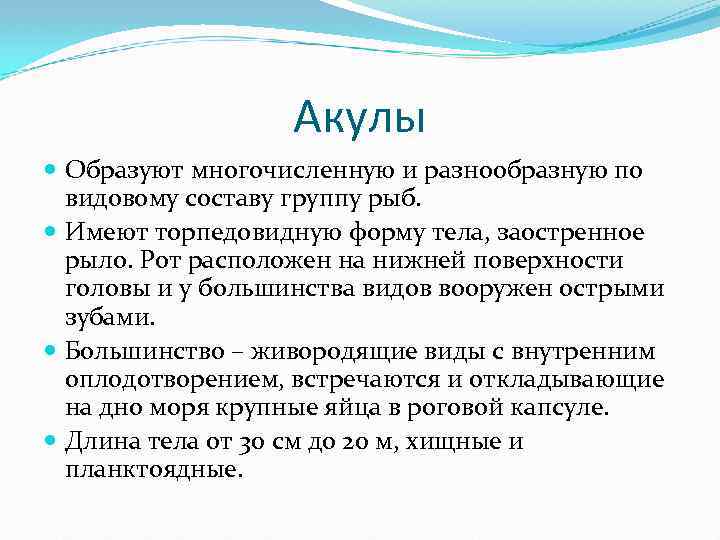 Акулы Образуют многочисленную и разнообразную по видовому составу группу рыб. Имеют торпедовидную форму тела,