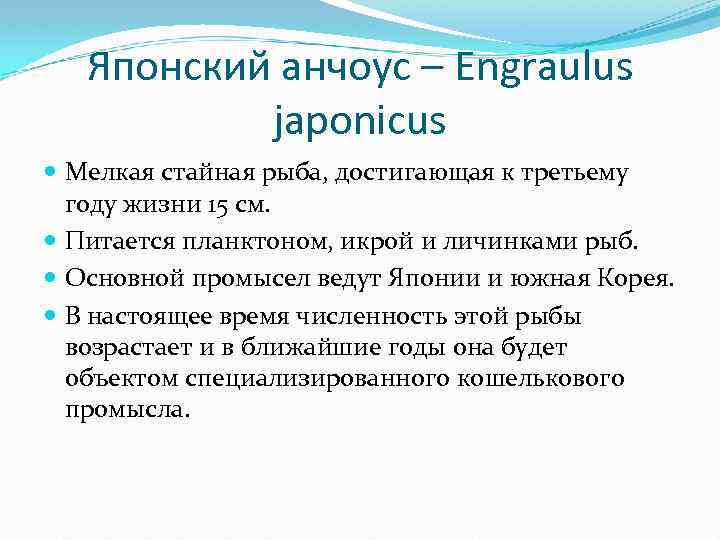 Японский анчоус – Engraulus japonicus Мелкая стайная рыба, достигающая к третьему году жизни 15