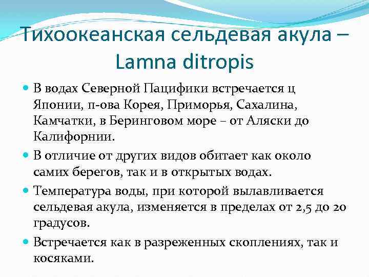 Тихоокеанская сельдевая акула – Lamna ditropis В водах Северной Пацифики встречается ц Японии, п-ова