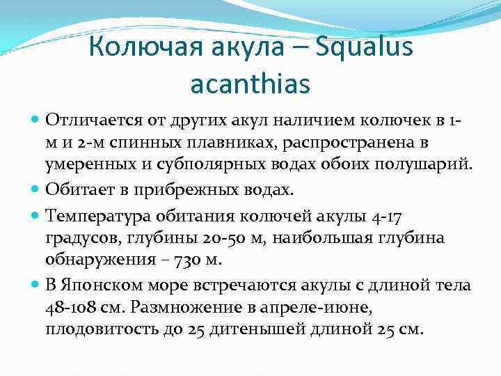 Колючая акула – Squalus acanthias Отличается от других акул наличием колючек в 1 м