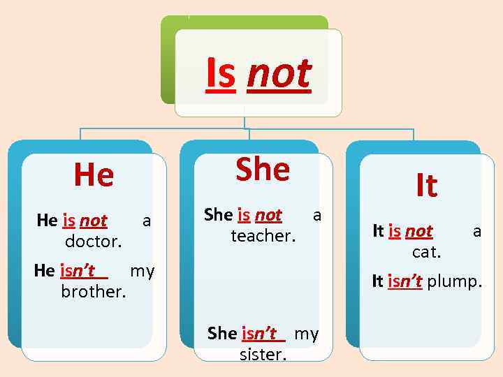 Is not He She He is not a doctor. He isn’t my brother. She