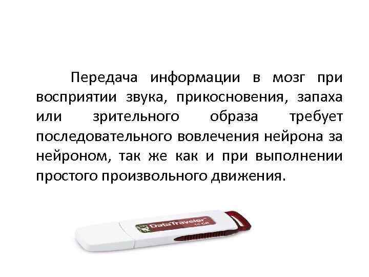  Передача информации в мозг при восприятии звука, прикосновения, запаха или зрительного образа требует