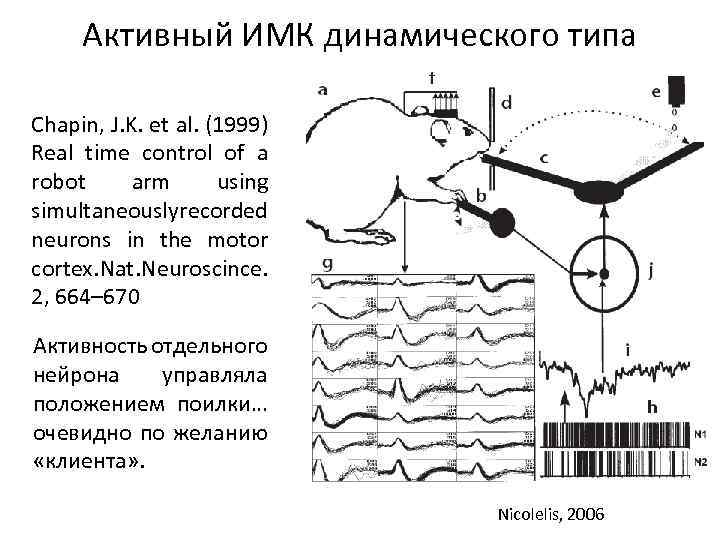Активный ИМК динамического типа Chapin, J. K. et al. (1999) Real time control of