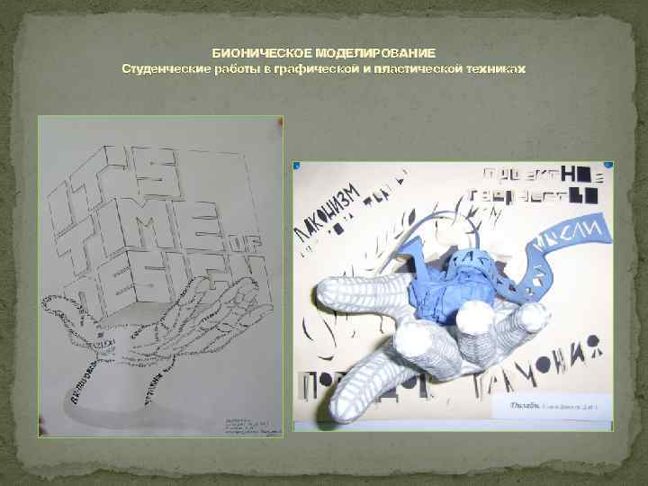 БИОНИЧЕСКОЕ МОДЕЛИРОВАНИЕ Студенческие работы в графической и пластической техниках 