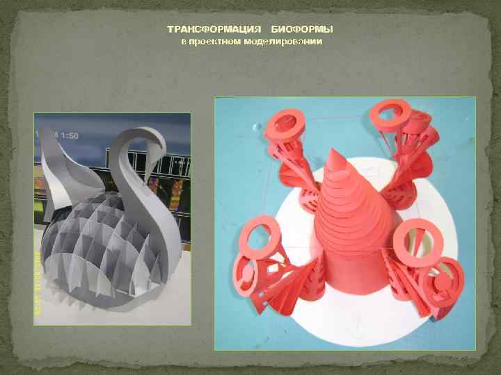 ТРАНСФОРМАЦИЯ БИОФОРМЫ в проектном моделировании 