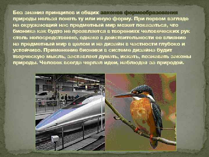 Без знания принципов и общих законов формообразования природы нельзя понять ту или иную форму.