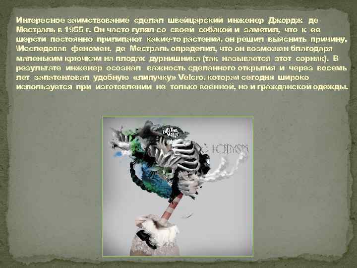 Интересное заимствование сделал швейцарский инженер Джордж де Местраль в 1955 г. Он часто гулял