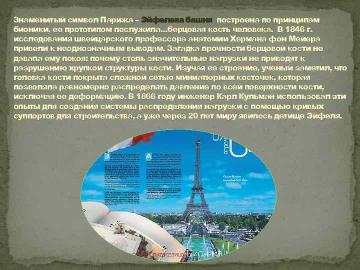 Знаменитый символ Парижа – Эйфелева башня построена по принципам бионики, ее прототипом послужила…берцовая кость