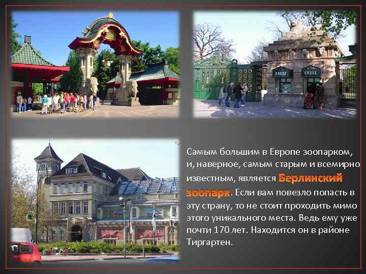 Самым большим в Европе зоопарком, и, наверное, самым старым и всемирно известным, является Берлинский