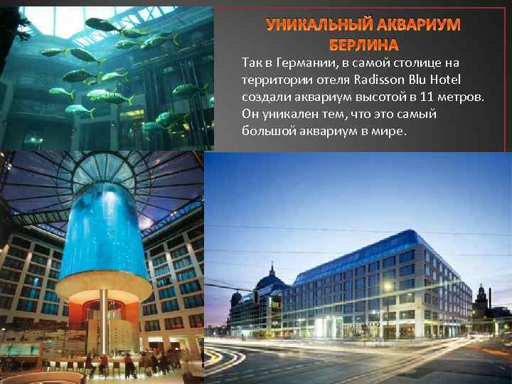 УНИКАЛЬНЫЙ АКВАРИУМ БЕРЛИНА Так в Германии, в самой столице на территории отеля Radisson Blu