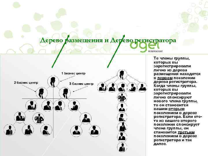Дерево размещения и Дерево регистратора Те члены группы, которых вы зарегистрировали лично из дерева