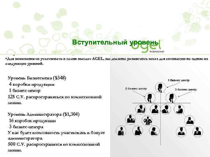 Вступительный уровень • Вступительный членский взнос: 41$ • Для возможности участвовать в плане выплат