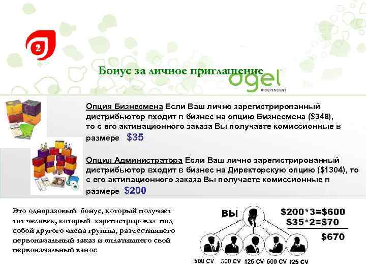Бонус за личное приглашение Опция Бизнесмена Если Ваш лично зарегистрированный дистрибьютор входит в бизнес