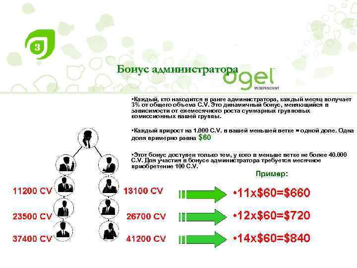 Бонус администратора • Каждый, кто находится в ранге администратора, каждый месяц получает 3% от