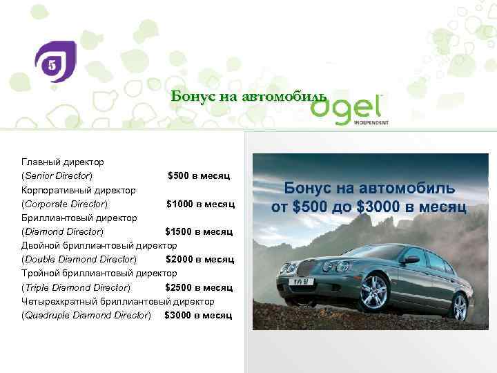Бонус на автомобиль Главный директор (Senior Director) $500 в месяц Корпоративный директор (Corporate Director)