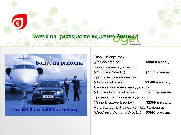 Бонус на расходы по ведению бизнеса Главный директор (Senior Director) $500 в месяц Корпоративный
