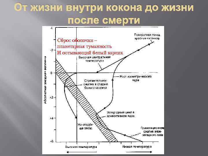 От жизни внутри кокона до жизни после смерти Сброс оболочки – планетарная туманность И