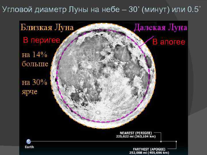 Угловой диаметр Луны на небе – 30’ (минут) или 0. 5˚ В перигее В