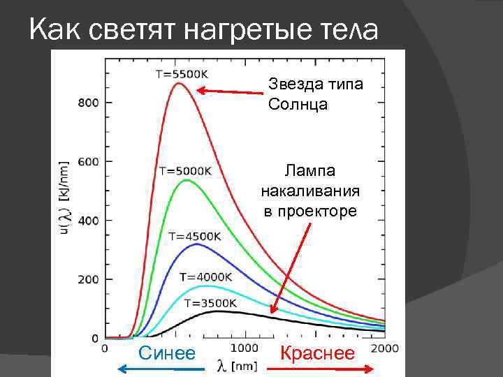 Как светят нагретые тела Звезда типа Солнца Лампа накаливания в проекторе Синее Краснее 