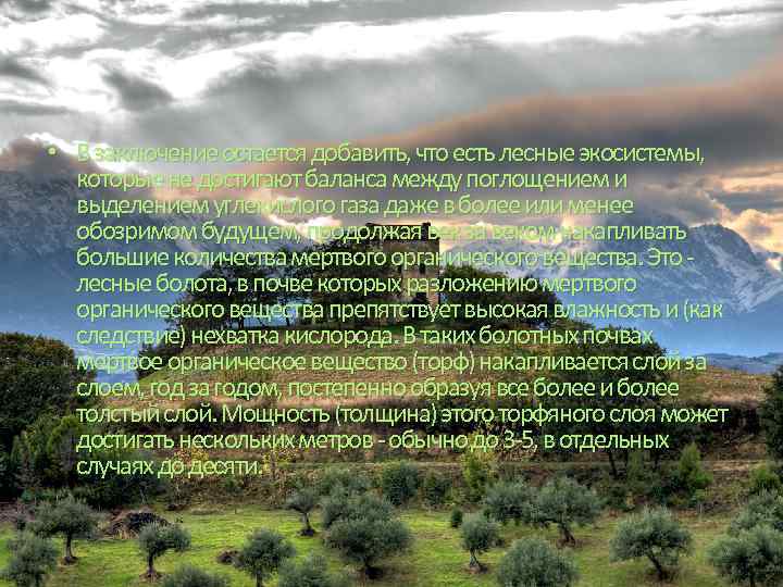  • В заключение остается добавить, что есть лесные экосистемы, которые не достигают баланса