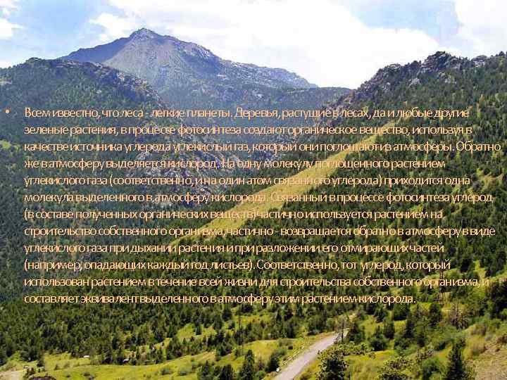  • Всем известно, что леса - легкие планеты. Деревья, растущие в лесах, да