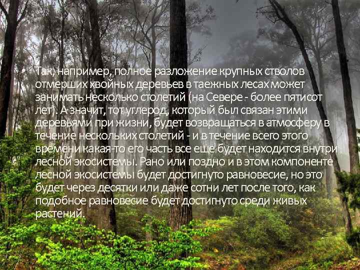  • Так, например, полное разложение крупных стволов отмерших хвойных деревьев в таежных лесах