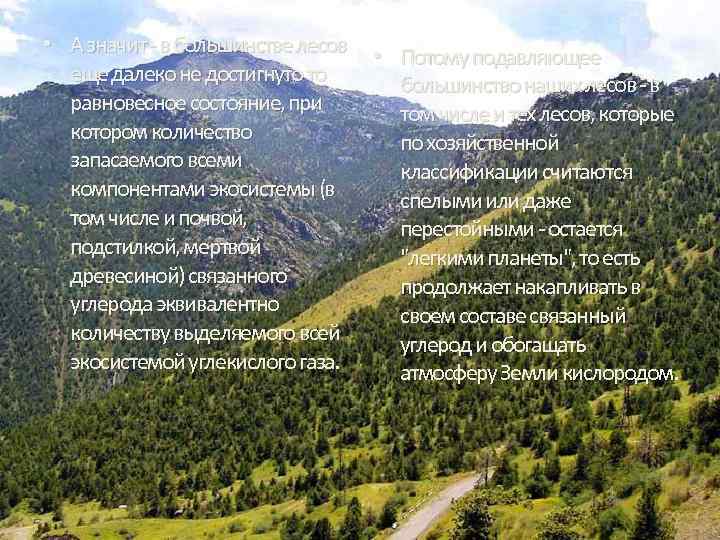  • А значит - в большинстве лесов • Потому подавляющее еще далеко не
