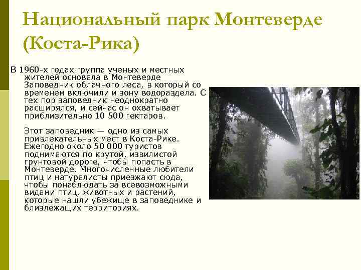 Национальный парк Монтеверде (Коста-Рика) В 1960 -х годах группа ученых и местных жителей основала