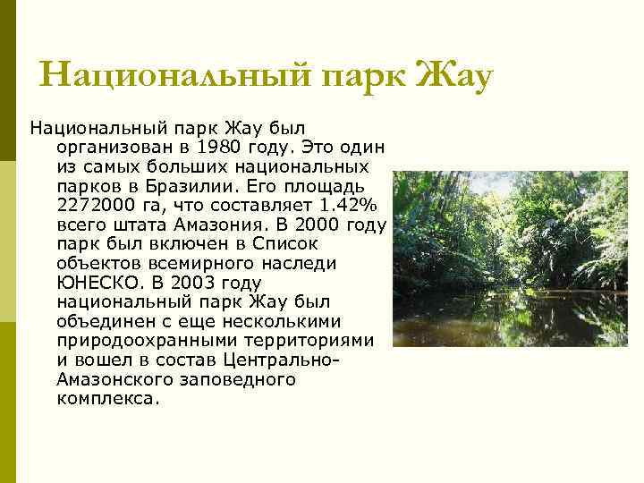 Национальный парк Жау был организован в 1980 году. Это один из самых больших национальных