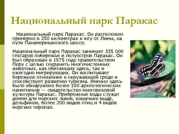 Национальный парк Паракас. Он расположен примерно в 250 километрах к югу от Лимы, на