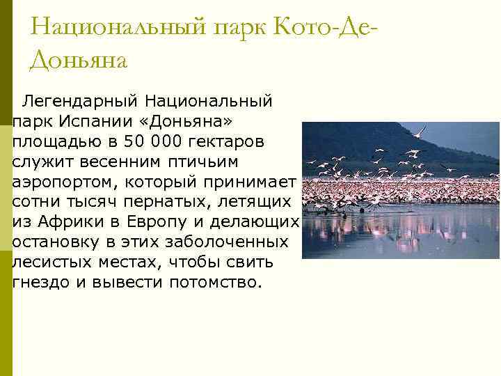 Национальный парк Кото-Де. Доньяна Легендарный Национальный парк Испании «Доньяна» площадью в 50 000 гектаров