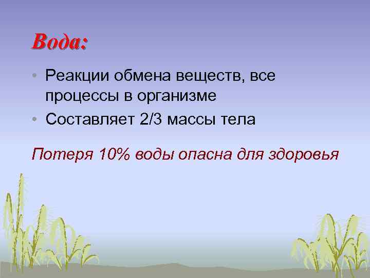 Вода: • Реакции обмена веществ, все процессы в организме • Составляет 2/3 массы тела