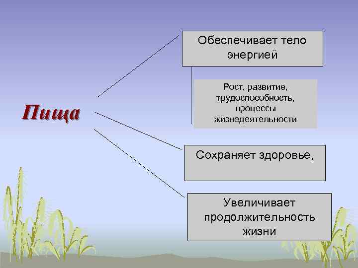 Обеспечивает тело энергией Пища Рост, развитие, трудоспособность, процессы жизнедеятельности Сохраняет здоровье, Увеличивает продолжительность жизни