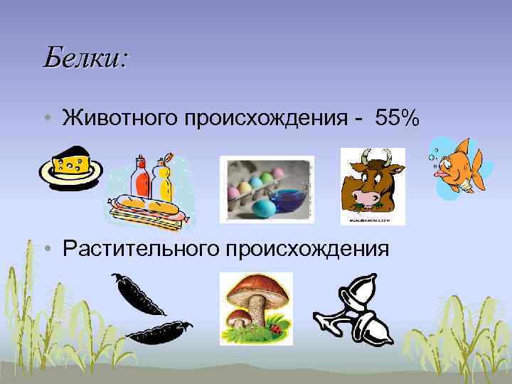 Белки: • Животного происхождения - 55% • Растительного происхождения 