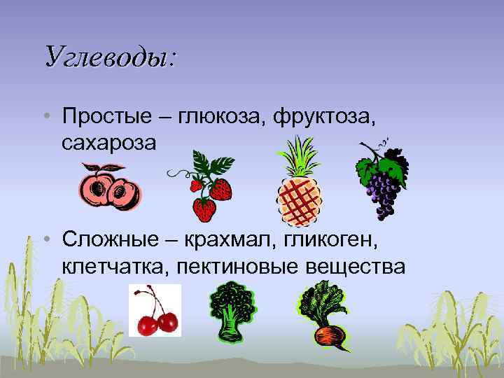 Углеводы: • Простые – глюкоза, фруктоза, сахароза • Сложные – крахмал, гликоген, клетчатка, пектиновые