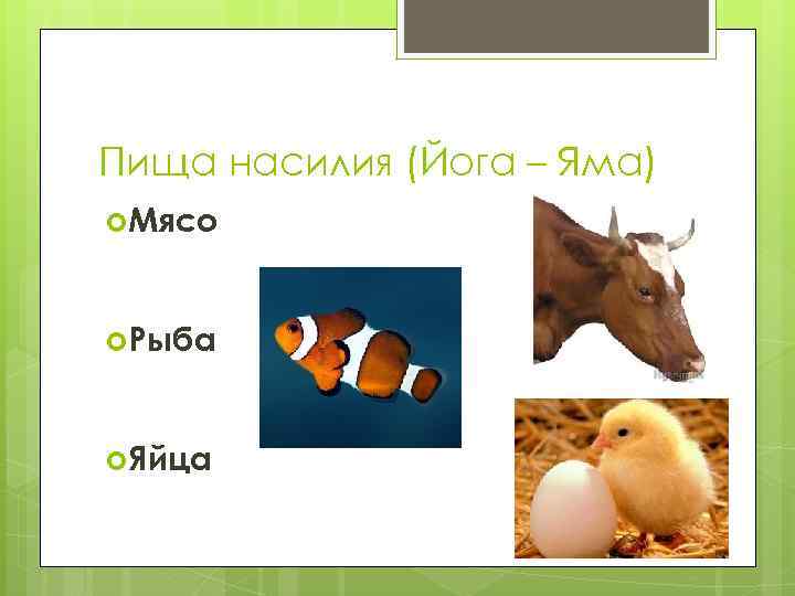Пища насилия (Йога – Яма) Мясо Рыба Яйца 