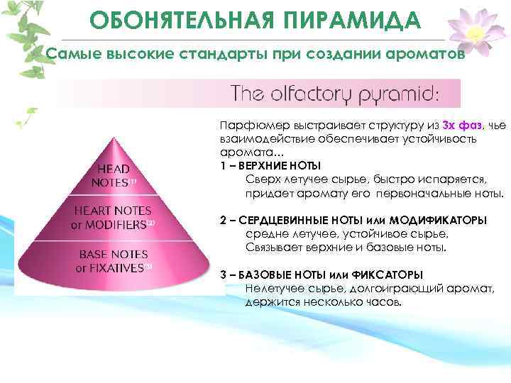 OБОНЯТЕЛЬНАЯ ПИРАМИДА Самые высокие стандарты при создании ароматов Парфюмер выстраивает структуру из 3 х