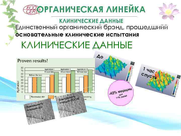 ОРГАНИЧЕСКАЯ ЛИНЕЙКА КЛИНИЧЕСКИЕ ДАННЫЕ Единственный органический брэнд, прошедшийй основательные клинические испытания КЛИНИЧЕСКИЕ ДАННЫЕ До