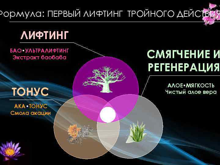 Формула: ПЕРВЫЙ ЛИФТИНГ ТРОЙНОГО ДЕЙСТВИЯ ЛИФТИНГ БАО • УЛЬТРАЛИФТИНГ Экстракт баобаба TОНУС AКА •