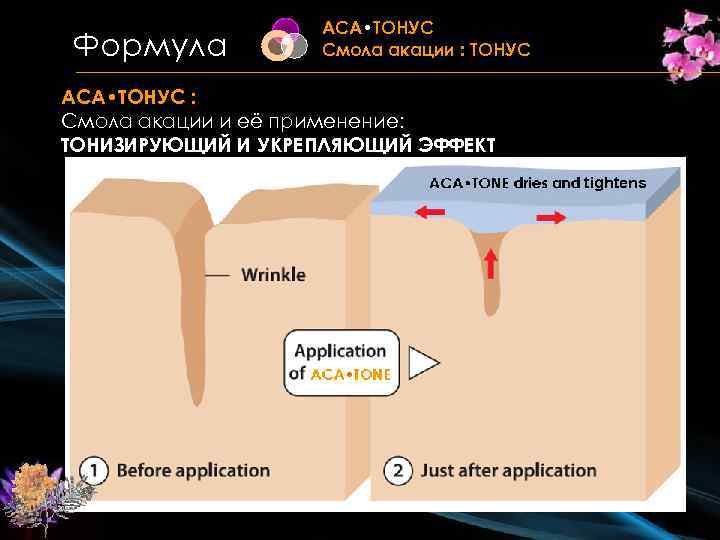 Формула ACA • TOНУС Смола акации : TOНУС ACA • TOНУС : Смола акации