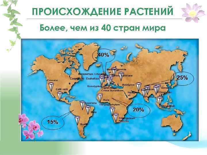 ПРОИСХОЖДЕНИЕ РАСТЕНИЙ Более, чем из 40 cтран мира 