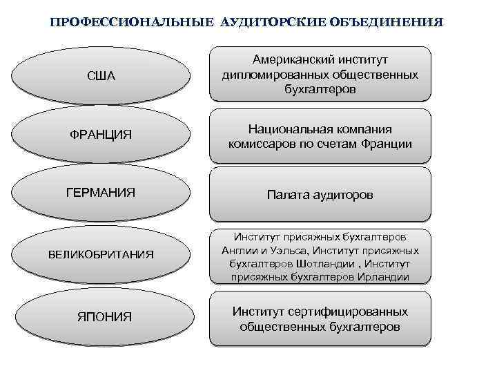 ПРОФЕССИОНАЛЬНЫЕ АУДИТОРСКИЕ ОБЪЕДИНЕНИЯ США Американский институт дипломированных общественных бухгалтеров ФРАНЦИЯ Национальная компания комиссаров по