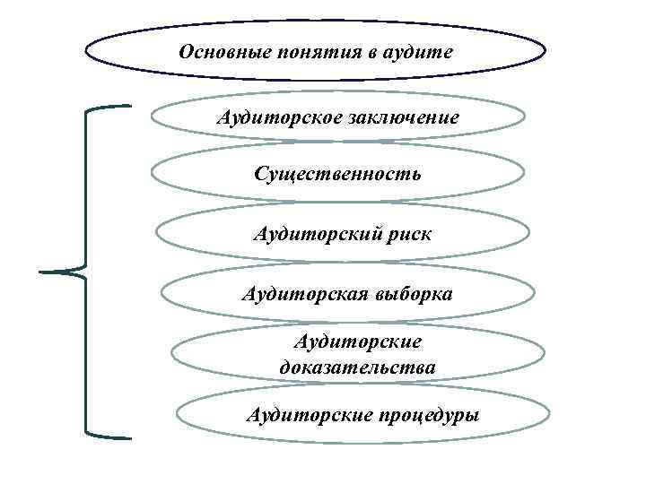 Аудит по решению руководства называется