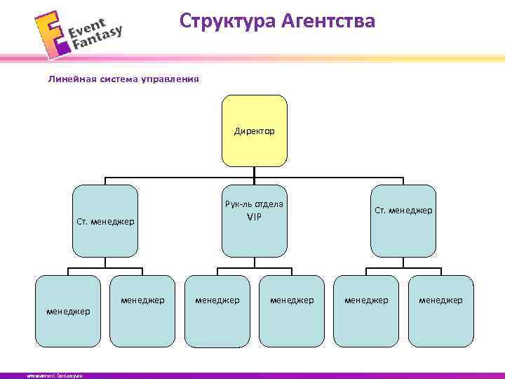 Структура агентства недвижимости схема