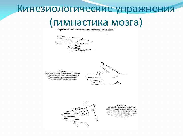 Кинезиологические упражнения (гимнастика мозга) 